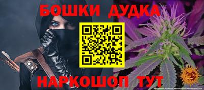 крисы Обь